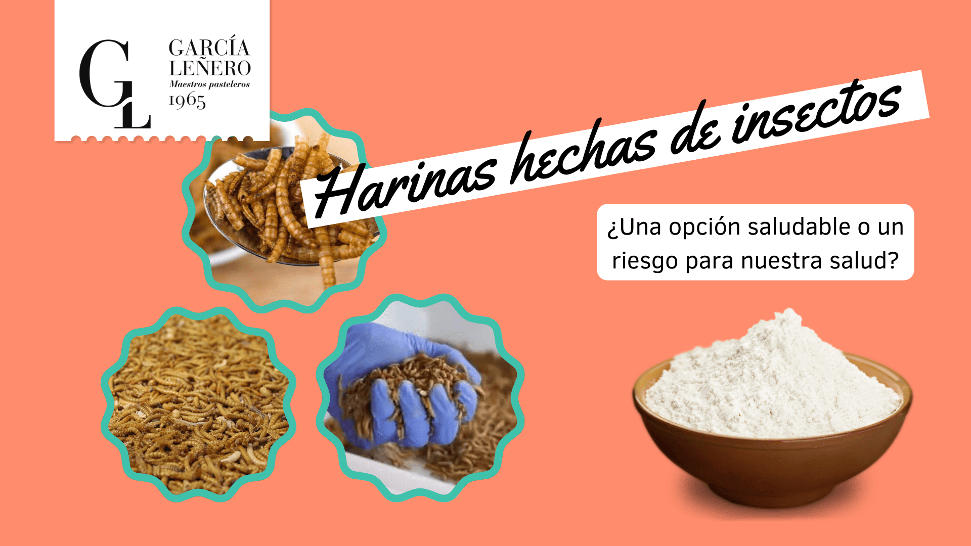 harinas de insectos